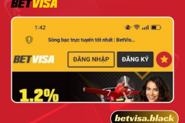 Tải Betvisa App - Ứng Dụng Cá Cược Hàng Đầu Việt Nam